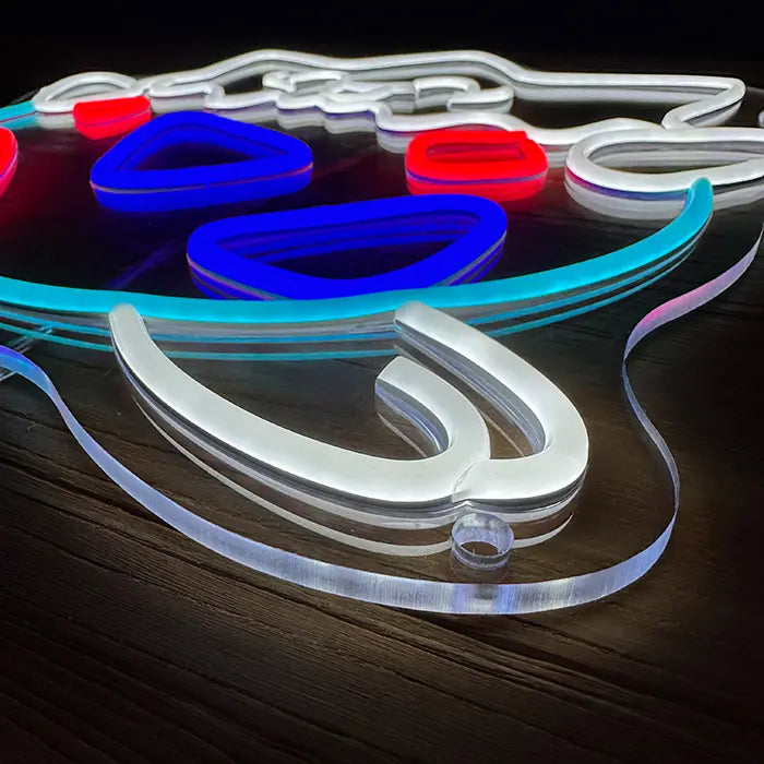 Seltene Pokémon Set Neon LED Schild – 12 Motive, dimmbar | Pokémon Sammler Deko