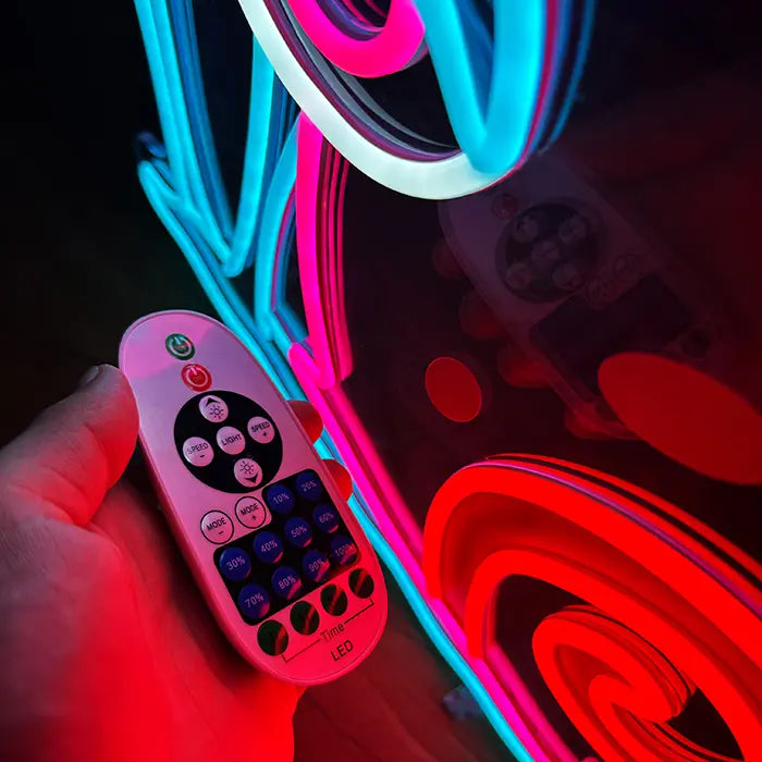 Gary Schnecke Neon LED Schild mit Fernbedienung in der Hand, Tasten für Helligkeit, Timer und Modi