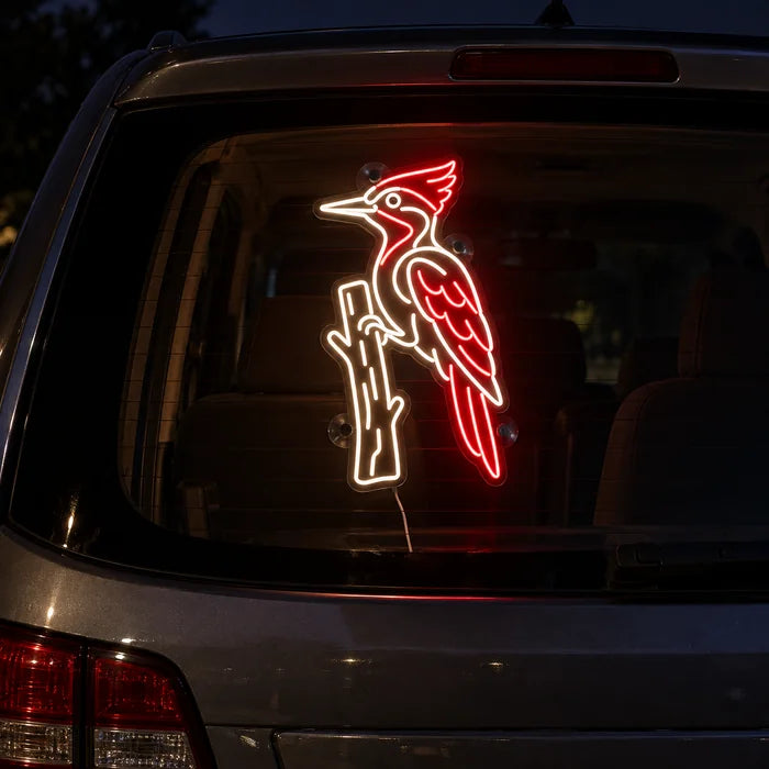 Roter Specht Neon LED Schild an der Heckscheibe eines Autos bei Nacht