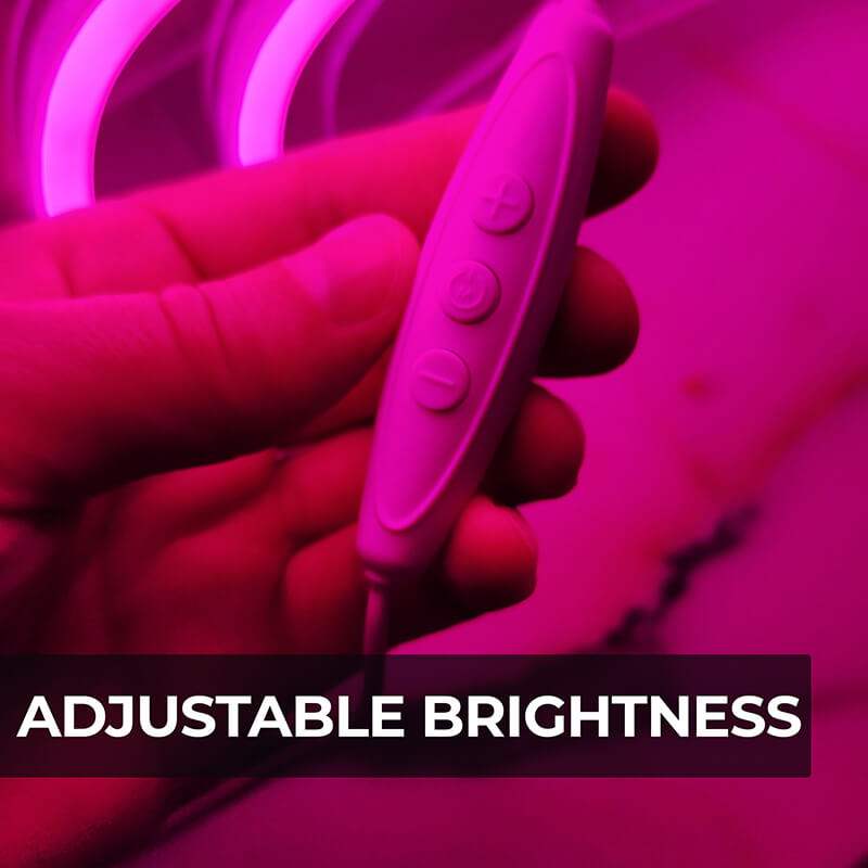 Pinke Krabbe (35x26cm) USB - loveledlights - LED-Schild - 