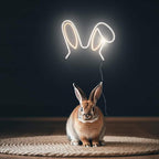 Hasenohren (33x33cm) USB - loveledlights - LED-Schild - 