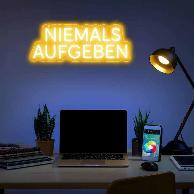"NIEMALS AUFGEBEN" (USB)