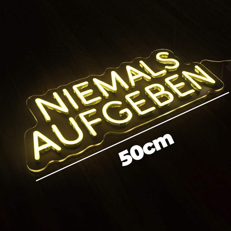 "NIEMALS AUFGEBEN" (USB)