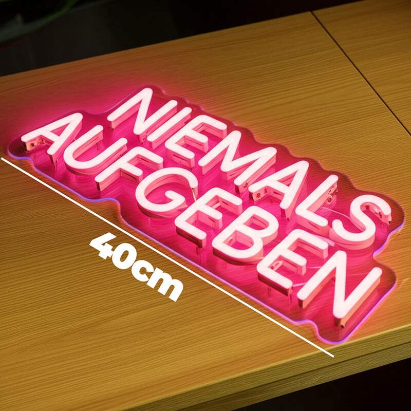 "NIEMALS AUFGEBEN" (USB)