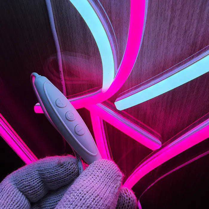 Sexy Boogie Neon LED Schild aus der Nähe mit Inline-Dimmer in der Hand vor den Neonlinien