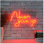 "Never give up" (50x30cm) USB