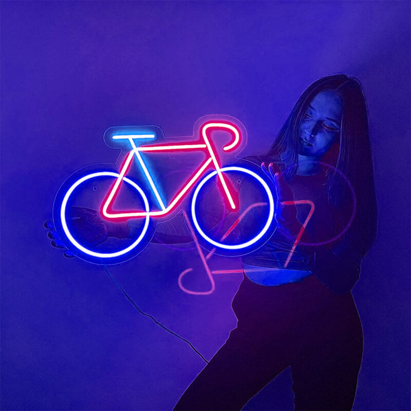 Rennrad (50cm) USB